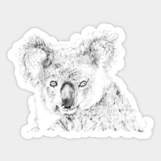 Koala appreciation portrait Sticker